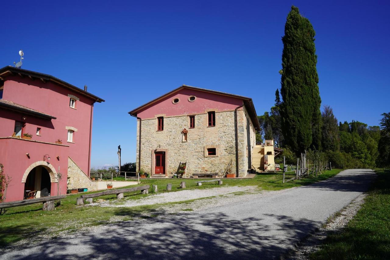 Agriturismo Il Sarale - Umbria Città di Castello Exteriör bild