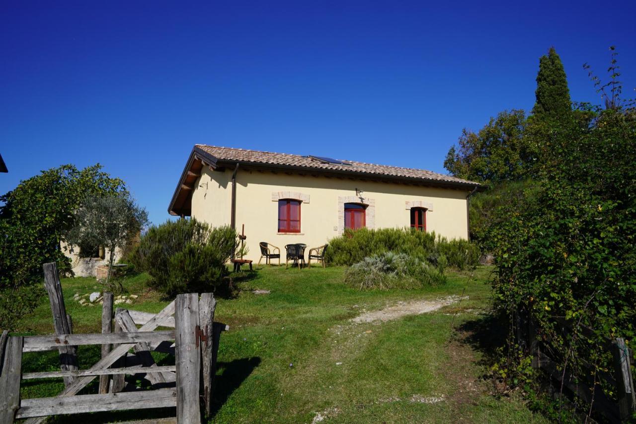 Agriturismo Il Sarale - Umbria Città di Castello Exteriör bild