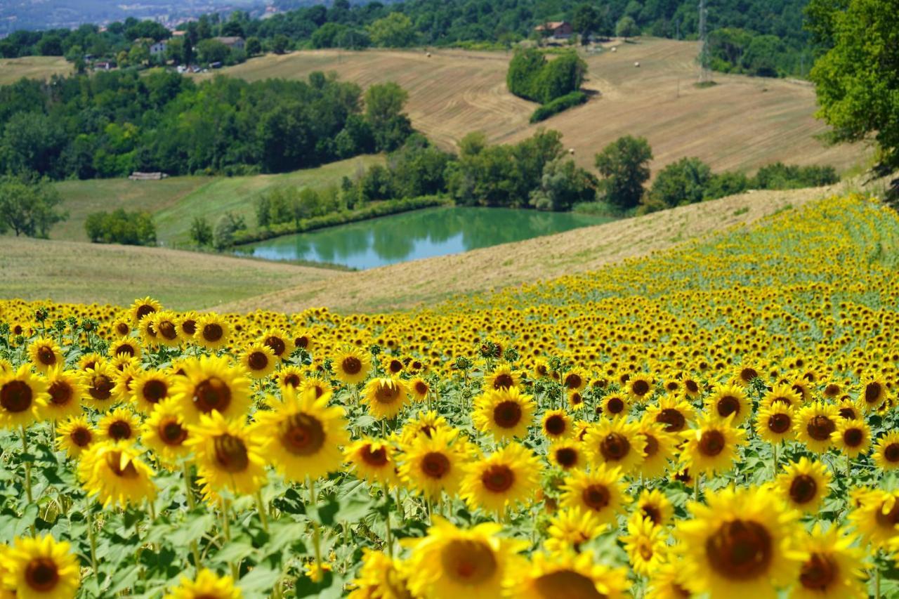 Agriturismo Il Sarale - Umbria Città di Castello Exteriör bild
