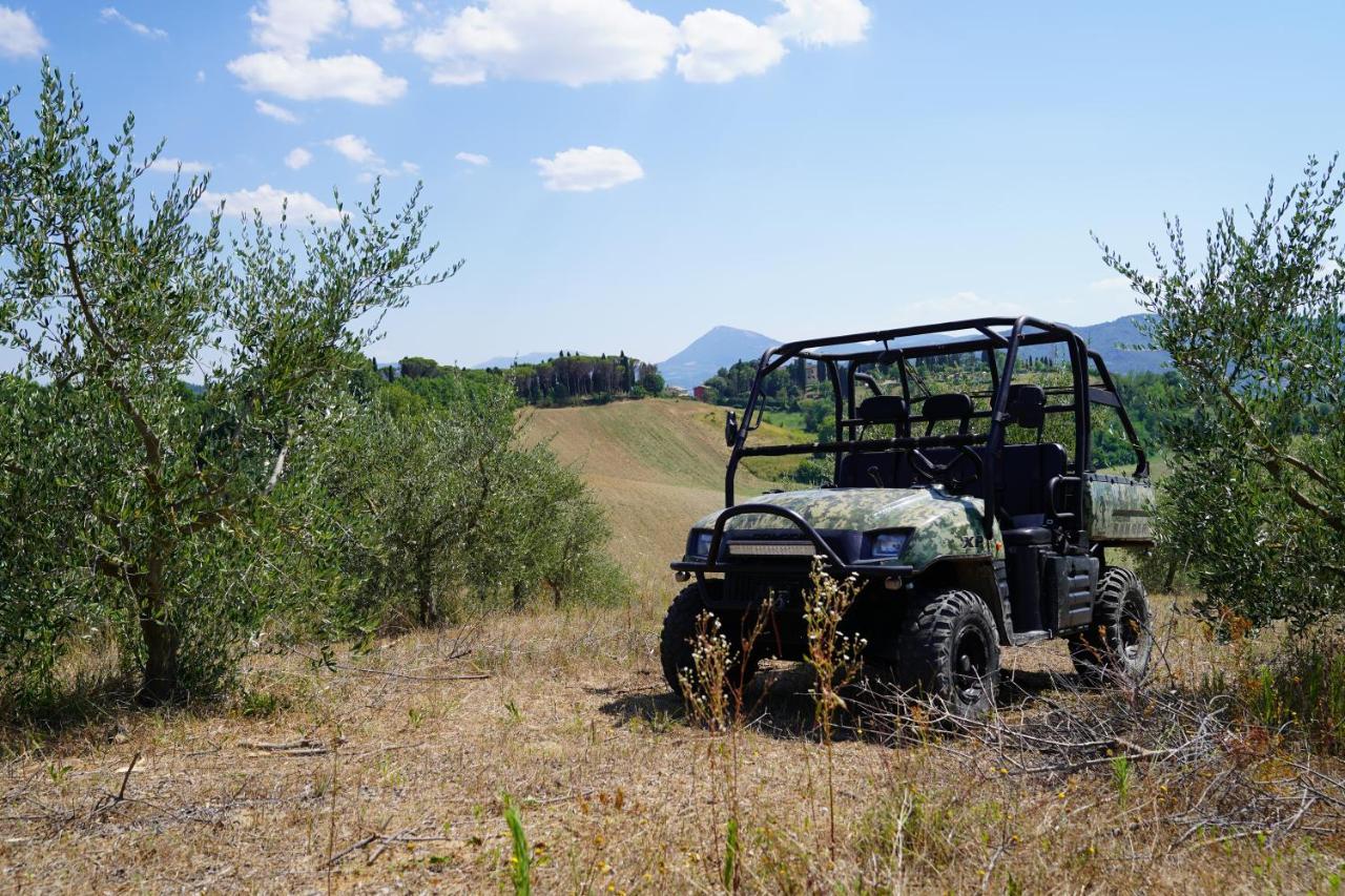 Agriturismo Il Sarale - Umbria Città di Castello Exteriör bild