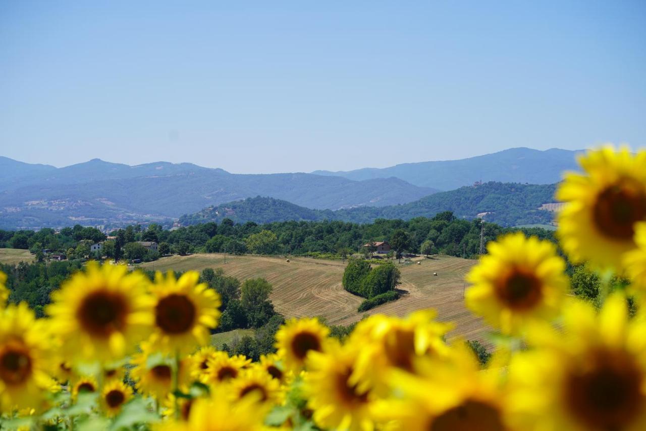 Agriturismo Il Sarale - Umbria Città di Castello Exteriör bild